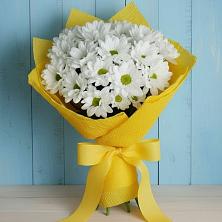 Букет цветов из:  Хризантемы в Строителе Белгородской области