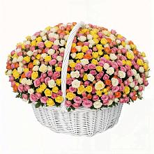 Премиум букет из: Розы #REPLACE_PRED# Строителе Белгородской области