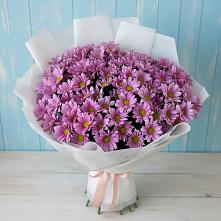 Букет цветов из:  Хризантемы в Строителе Белгородской области