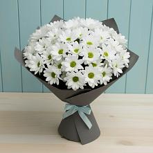 Букет цветов из:  Хризантемы в Строителе Белгородской области