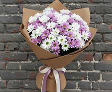 Букет цветов из:  Хризантемы в Строителе Белгородской области