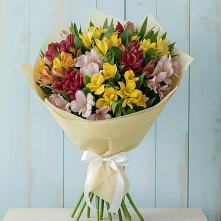 Букет цветов из:  Альстромерии #REPLACE_PRED# Строителе Белгородской области
