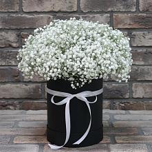 Цветочная композиция из Гипсофила в шляпной коробке #REPLACE_PRED# Строителе Белгородской области