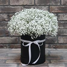 Цветочная композиция из Гипсофила в шляпной коробке в Строителе Белгородской области