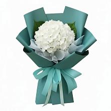 Букет цветов из:  Гортензия в Строителе Белгородской области